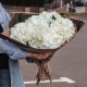 Букет из 15 белых гортензий купить с доставкой в Санкт-Петербурге